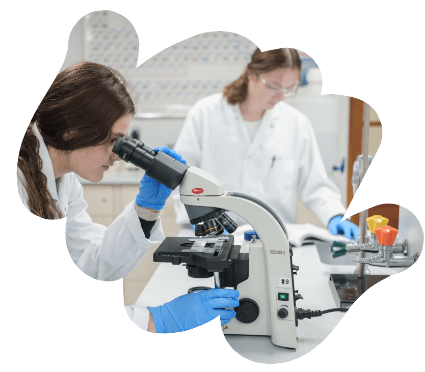 Préuniversitaires - Cegep